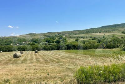 Teren de 2094 mp, în Chinteni