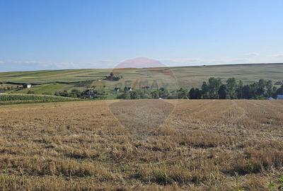 Teren intravilan, 7500 mp in Moara Carp / Strada Eternita... - 16