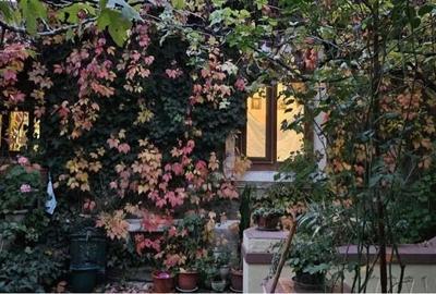 Casă cu 6 camere cu Teren 450 Mp în Aluniș - 19