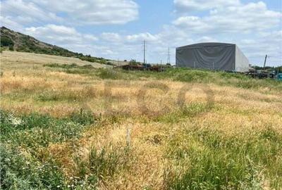 Teren de 502 mp, în Betfia - 5