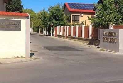 Casa Dobroesti complex Enculescu - 2