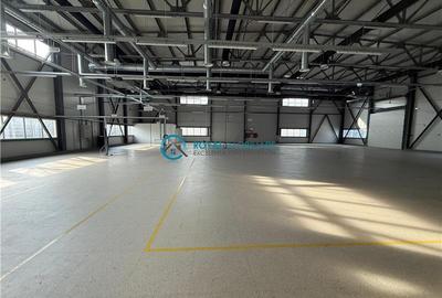 Spațiu industrial, de 1,183.2099609375 mp, în Exterior Vest - 1