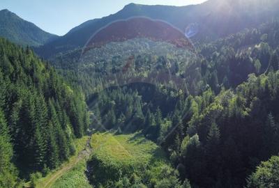 Teren agricol extravilan de 2895 mp, în Nord - 3