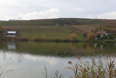 Teren de 12000 mp, în Florești - 2