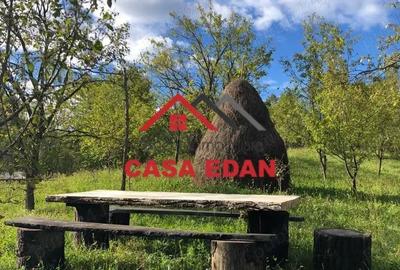 Teren de 9104 mp, în Brebu - 19