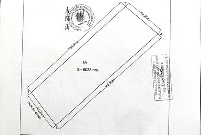 Super oferta ! Silistea Snagovului, langa lac, 6.083 mp. teren construibil - 3