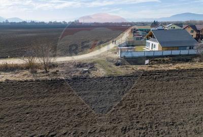 Teren 6400 mp, Drumul cu Plopi, Sanpetru - 7