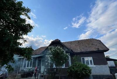 Casă cu 2 camere în Moldovenești - 4