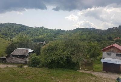 Teren de 1700 mp, în Pietroșița