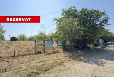 Teren agricol extravilan de 2000 mp, în Carei - 1
