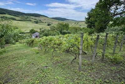 Teren de 2548 mp, în Central - 3