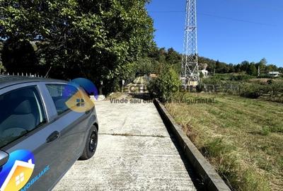 Teren comuna Alexandru cel Bun , drumul spre Bisericani - 4