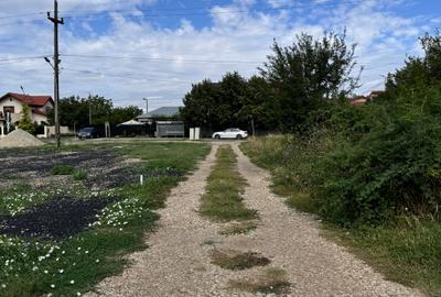 Teren Domnesti | Soseaua Curtea Domneasca | 1060 Mp-intravilan |2 Loturi de 530m - 7