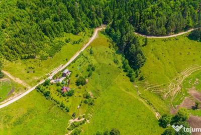 Teren de 7400 mp, în Tărlungeni - 1