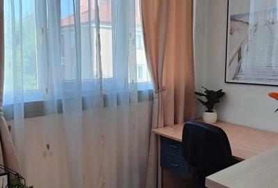 Garsonieră semidecomandată în Dosu Bricii - 2