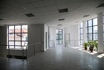 Proprietar -spre inchiriere imobil polivalent , spatiu comencial -475mp - 15