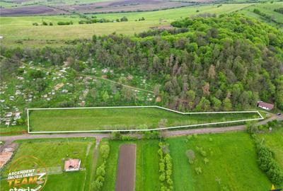 Teren de 6500 mp, în Zagon - 6