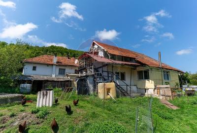 Casa / Vila cu 10 camere amplasate in 2 corpuri de cladire de vanzare - 12