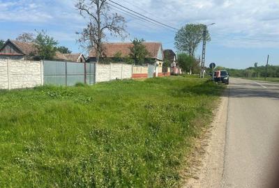 Teren intravilan 3025 mp, cu utilități, Bicaci, Bihor. - 4