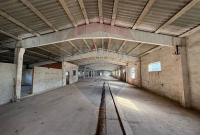 De vanzare spatii de productie si depozitare (hale),Sat Gheghie-Bihor