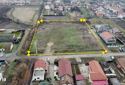 Teren de 6000 mp, în Săcălaz - 2