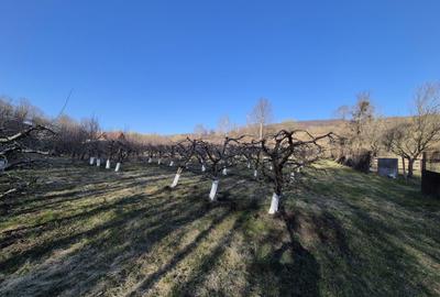 Spațiu comercial, în Central - 1