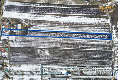 Spațiu comercial, în Dobolii de Jos - 3