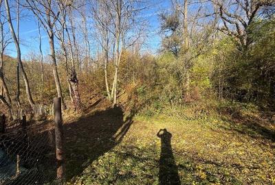 Teren langa pădure 6400mp-casa demolabile-deschidere 35 ml - 4