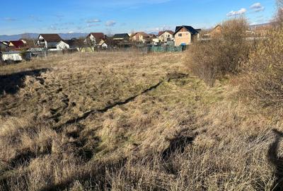 LOT DE  CASA SITUAT IN BOD COLONIE... STR.GARII - 4