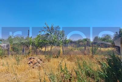 Teren de 1000 mp, în Scrioaștea - 2