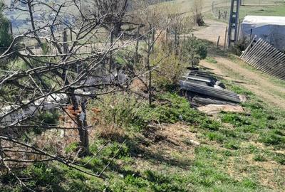 Casă cu 3 camere cu Teren 3892 Mp în Dorna Candrenilor - 4