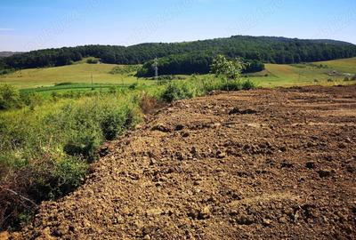 Teren de 2200 mp, în Deușu - 9