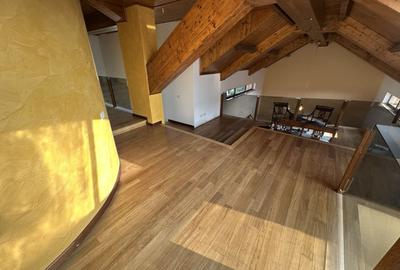 Proprietate cu piscina Dumbravita - 25