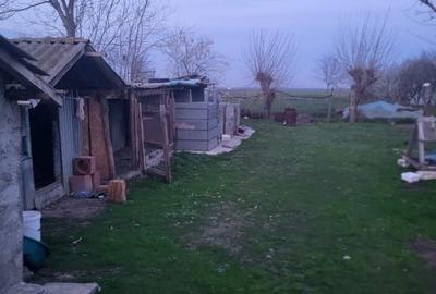 Casă cu teren 2272 mp - Vasilati, Calărași, put, curent, asfalt - 5