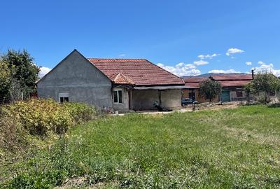 Casă individuală cu 4 camere cu Teren 2514 Mp în Bucoșnița - 1