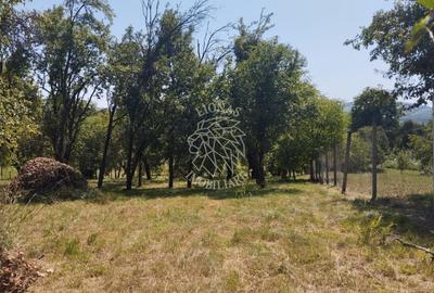 Teren Construcții intravilan de 2828 mp, în Dorolea - 1