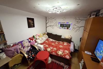 Casa cu 2 corpuri, acces auto, curte – Republica / Industriilor - 2