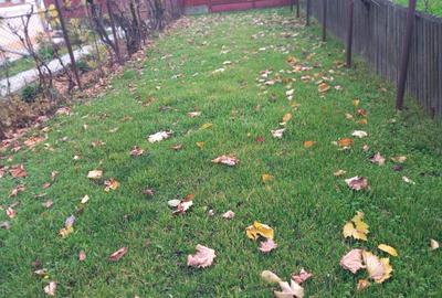 Casă de vânzare - jud. Buzău, Sat Lanurile, com. Ziduri - 3