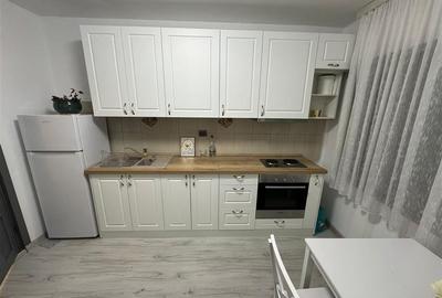 Garsoniera renovata, parter si mobilata, strada A.Vlahuta - 3