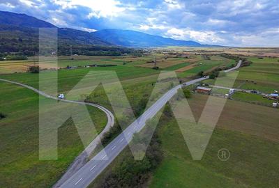 Teren extravilan  3.942 mp de vanzare – Talmaciu, jud. Sibiu - 6