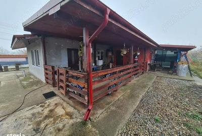 Casă cu 3 camere cu Teren 1400 Mp în Iratoșu - 4