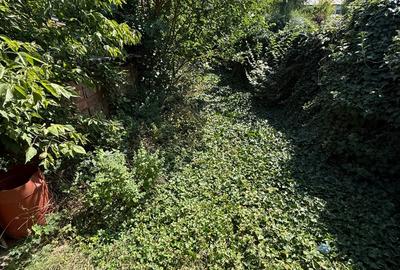 Teren intravilan de 678 mp, în Tătărași - 7