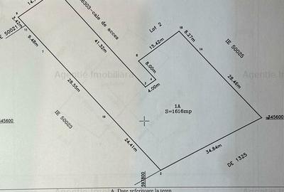 Teren 1616 mp Dascalu - 2