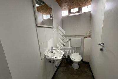 Hala de 670 mp cu birouri 50 mp, Zona Semicentrala - 19