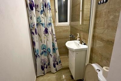 Apartament cu 2 camere semidecomandat în Valea Rosie - 6