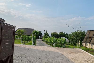 Casă cu 3 camere cu Teren 3280 Mp în Central - 2