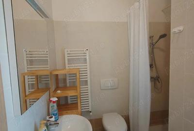 Apartament cu 3 camere semidecomandat în Dumbrăvița - 3