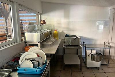 Tatarasi - spatiu comercial - restaurant complet echipat, 150mp + 300mp terasa - 7