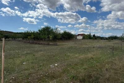 Spațiu comercial, în Oarda