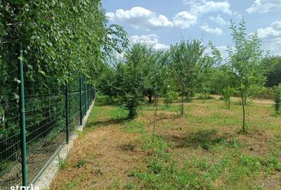 Teren de 3093 mp, în Bolintin-Deal - 6
